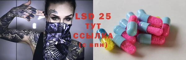 ГАЛЛЮЦИНОГЕННЫЕ ГРИБЫ Белоозёрский