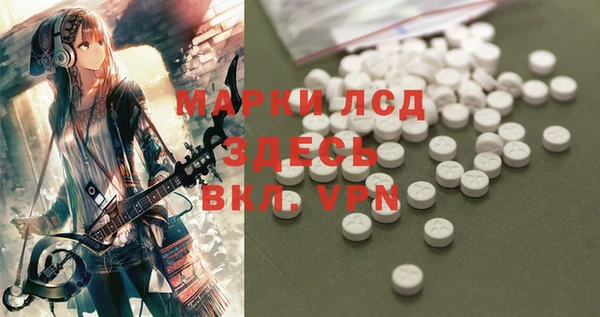 ГАЛЛЮЦИНОГЕННЫЕ ГРИБЫ Белоозёрский
